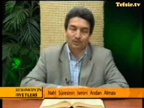 Nahl Suresi Kuran Tefsiri 66-70 Ayetler
